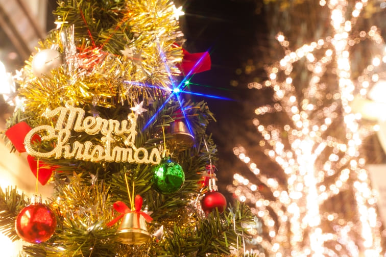 270度海に囲まれたTOTTEIにクリスマスツリーが出現！